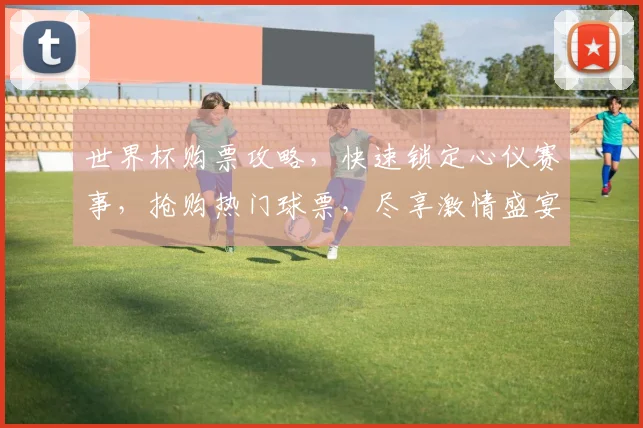 世界杯购票攻略，快速锁定心仪赛事，抢购热门球票，尽享激情盛宴，一步到位