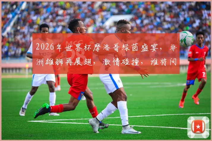 2026年世界杯摩洛哥绿茵盛宴，非洲雄狮再展翅，激情碰撞，谁将问鼎