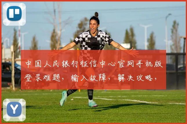 中国人民银行征信中心官网手机版登录难题，输入故障，解决攻略，三步快速恢复