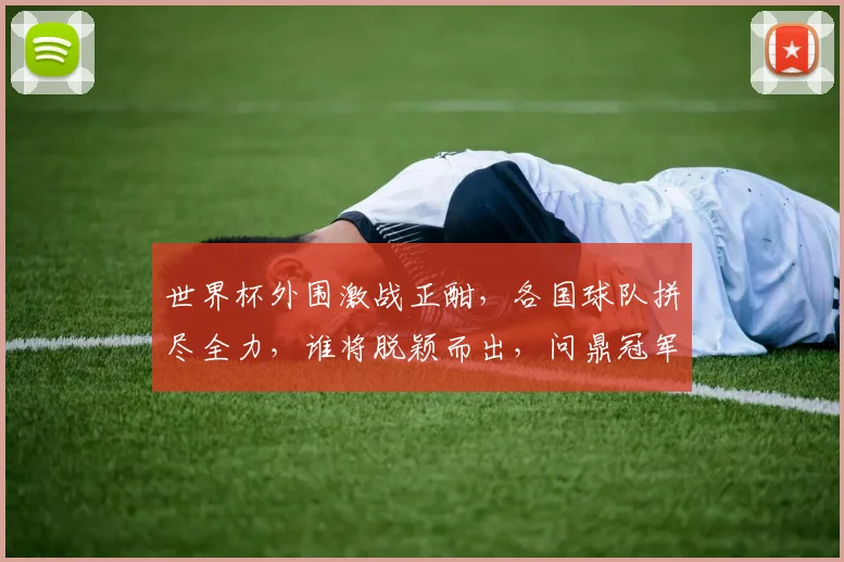 世界杯外围激战正酣，各国球队拼尽全力，谁将脱颖而出，问鼎冠军