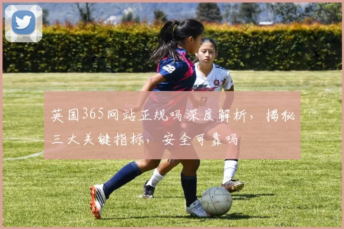 英国365网站正规吗深度解析，揭秘三大关键指标，安全可靠吗