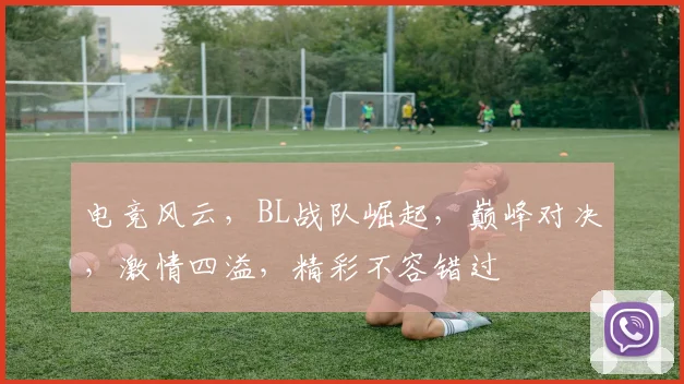 电竞风云，BL战队崛起，巅峰对决，激情四溢，精彩不容错过